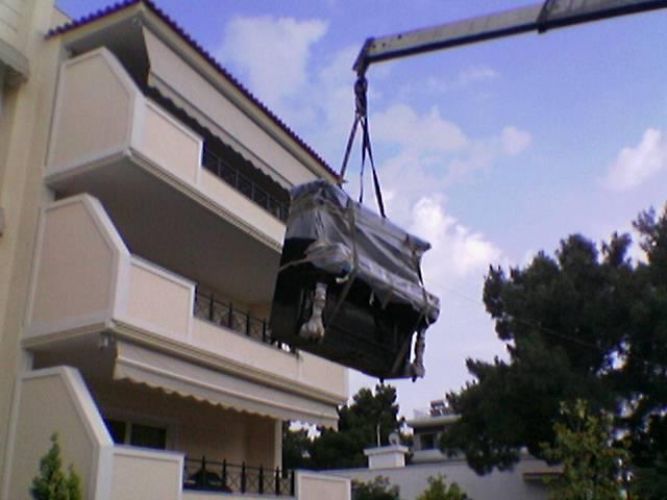 522412 365476820203010 1838636455 n